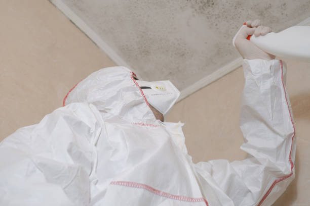 Best Attic Mold Removal  in Yorktown Heights, NY